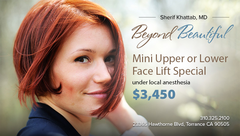 Mini Upper and Lower Face Lift